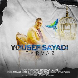 Yousef Sayyadi