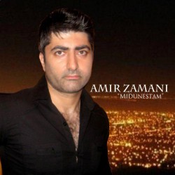 Amir Zamani