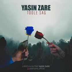 Yasin Zare