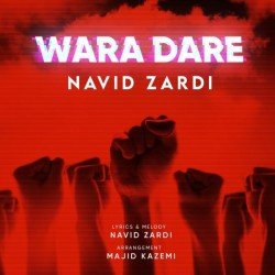 Navid Zardi