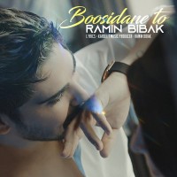 Ramin Bibak – Boosidane To