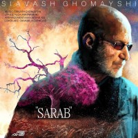 Siavash Ghomayshi – Sarab